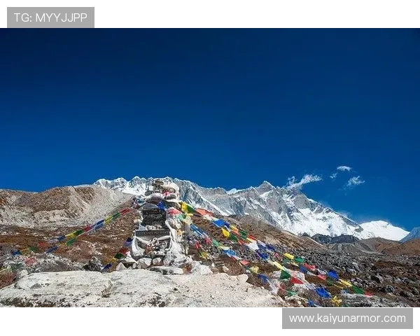 开云最新网址用户评价与反馈，听取广大用户的真实使用体验与建议