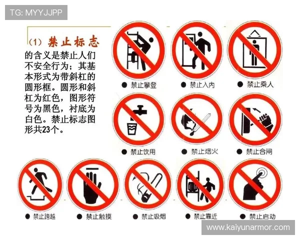 开云网址入口安全登录指南，保障您的账户信息安全无忧